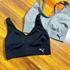 Puma Sports Bras